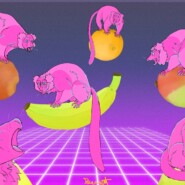 "Do Lemurs Dream of Electric Fruit?" |
Digital Art |
Artist: Claire Bennett
