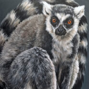 "Ringtail" |
Acrylic on wood panel |
Artist: Cindy Billingsley