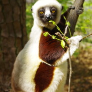 "Life is Good" |
Photography |
Artist: Esther Piaskowski Cohen