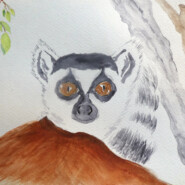 "Hoping for a secure future in the Tsaranoro Valley" |
Watercolor |
Artist: Lisa Gould