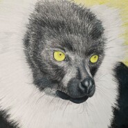 "A Beauty Not Yet Lost" |
Prisma color |
Artist: Jessica Gervais