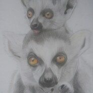 "we are like you"
Pencil
Artist: Rasamoely Lala Tanjona Aina jackie