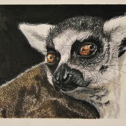 "Amber Eyes" |
Mixed media (colored pencil, marker, pen & ink, pastel) |
Artist: Shianne Lindsay