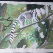 "save the nature" |
Watercolor |
Artist: Renty Telina Havaloniainana