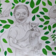 "A green place" |
Pencil and Paint |
Artist: Aina Rajeriarison |
Read more about why lemurs do not make good pets: www.bit.ly/notpets