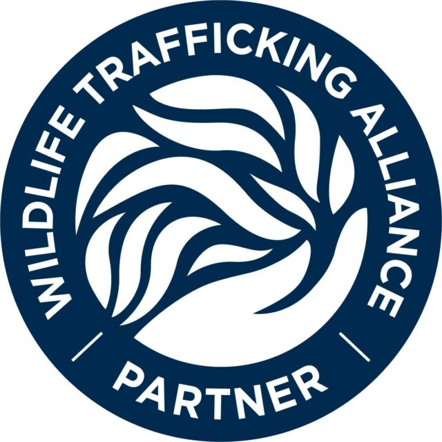 We are proud to be the 100th partner for the Wildlife Trafficking Alliance! Wildlife trafficking is a huge problem for many animal groups in the world, lemurs included. Through the WTA, we can do our part to help conserve these trafficked species from all areas of the globe!

From the AZA:
The Wildlife Trafficking Alliance is excited to announce that we have just brought on our 100th partner! 🎉

The Lemur Conservation Foundation joins an impressive and active coalition—comprised of conservation organizations, AZA-accredited zoos and aquariums, and companies that work collaboratively to stop wildlife trafficking around the globe.

Support and collaboration from our partners are the essential components that support WTA’s campaigns and initiatives. We are so grateful to each partner who works with WTA to continue our important mission…all 100 of them!

#WildlifeTrafficking #Zoos #Aquariums