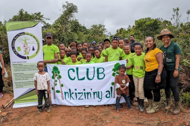 Madagascar Monday! 

A reforestation corridor project aims to reconnect 150 hectares of fragmented forest between Andasibe-Mantadia National Park and the Analamazoatra Special Reserve, home to a dozen lemur species and many other animals and plants that are found nowhere else on Earth.  The project has already planted more than 100 native tree species across 70 hectares, a portion of which were grown in soil inoculated with mycorrhiza, with seedlings showing high survival and growth rates. Even in its early stages, lemurs are using the corridor.

https://news.mongabay.com/2026/04/a-reforestation-corridor-in-madagascar-offers-a-future-for-lemurs-and-locals/
